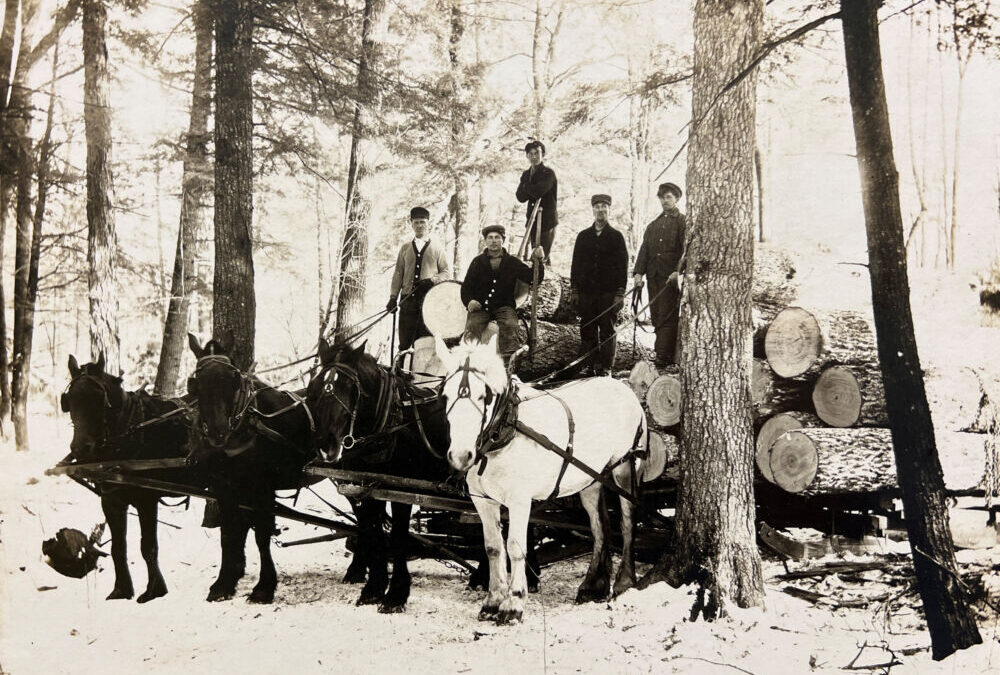 Logging with the Kriesel Brothers in 1915