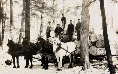 Logging with the Kriesel Brothers in 1915