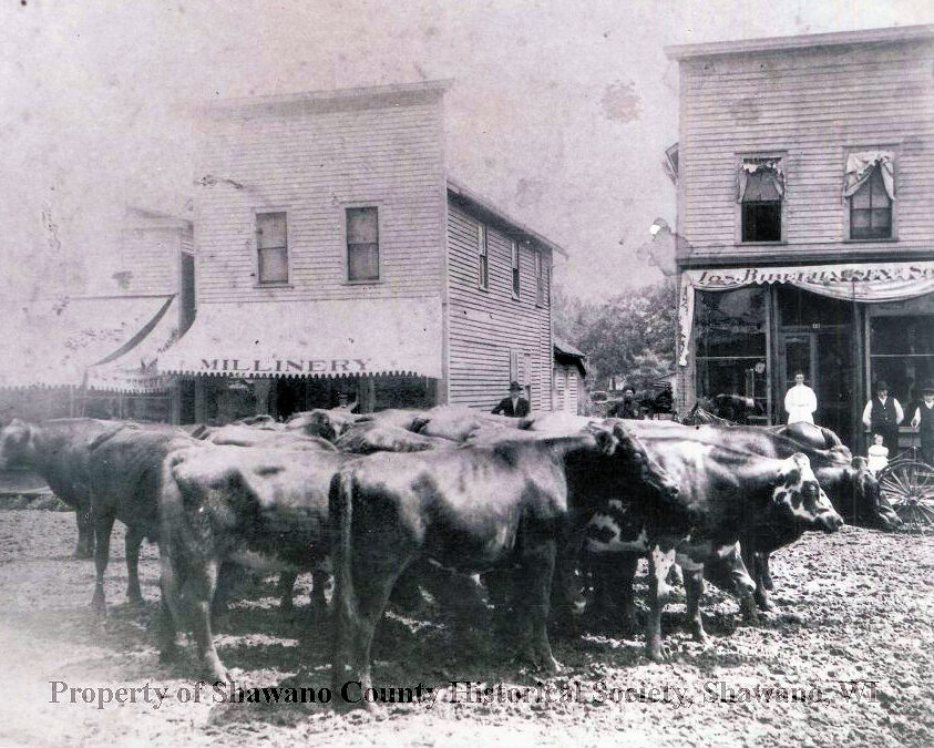 Prohibiting Livestock in the Streets of Shawano